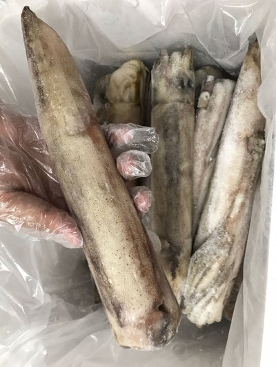 Frozen Surume Ika Squid 300-400g