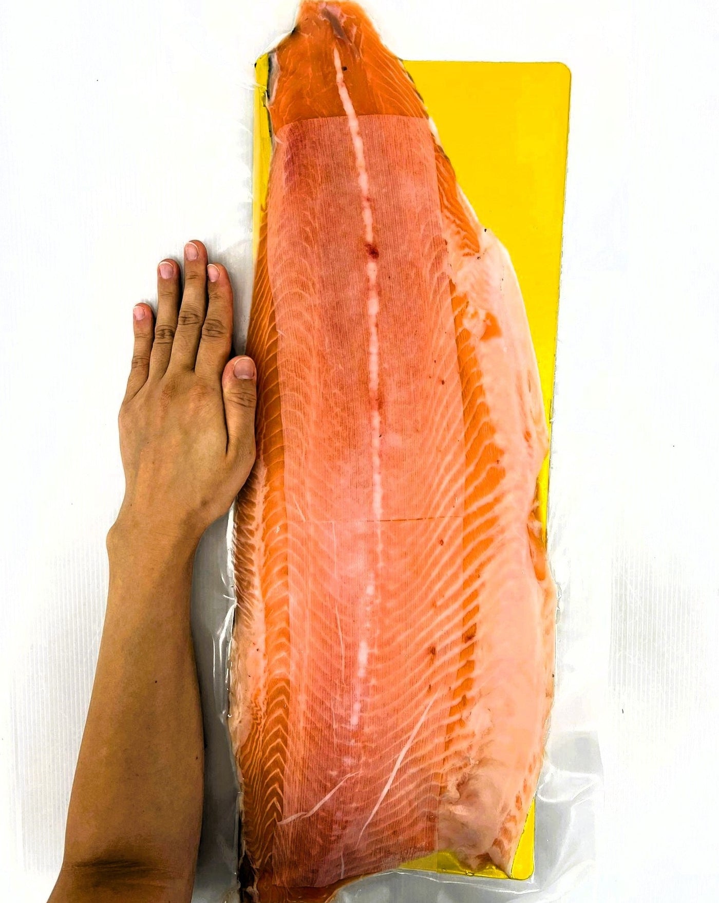 Chilled Atlantic Salmon Fillet (Sashimi Grade)