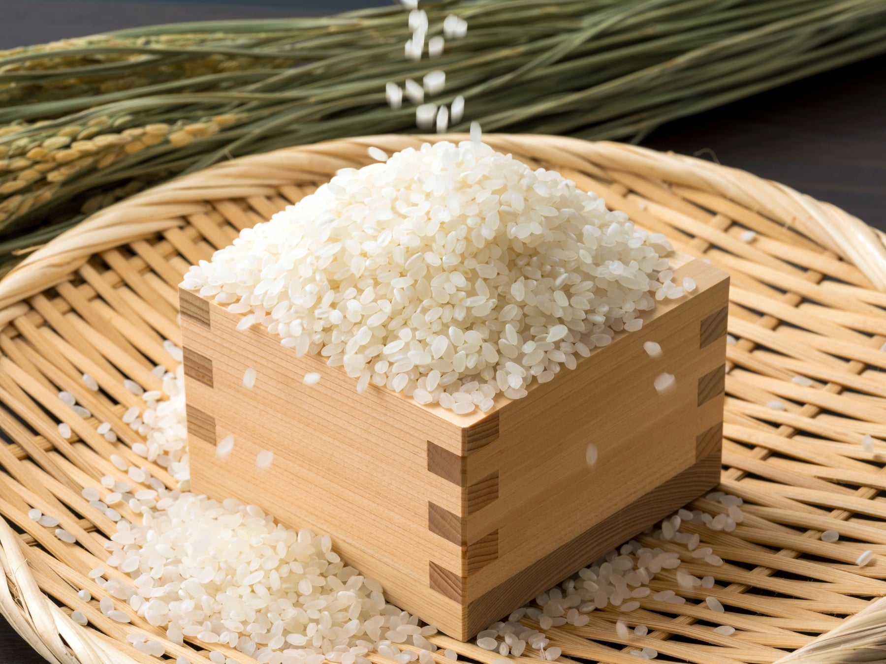 Asian White Rice Shells Niigata Premium Japanese White Rice 2kg – Northsea Singapore