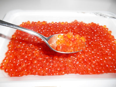 "Kyowa" Seasoned Shoyu Ikura (MASU Salmon Roe) 500g