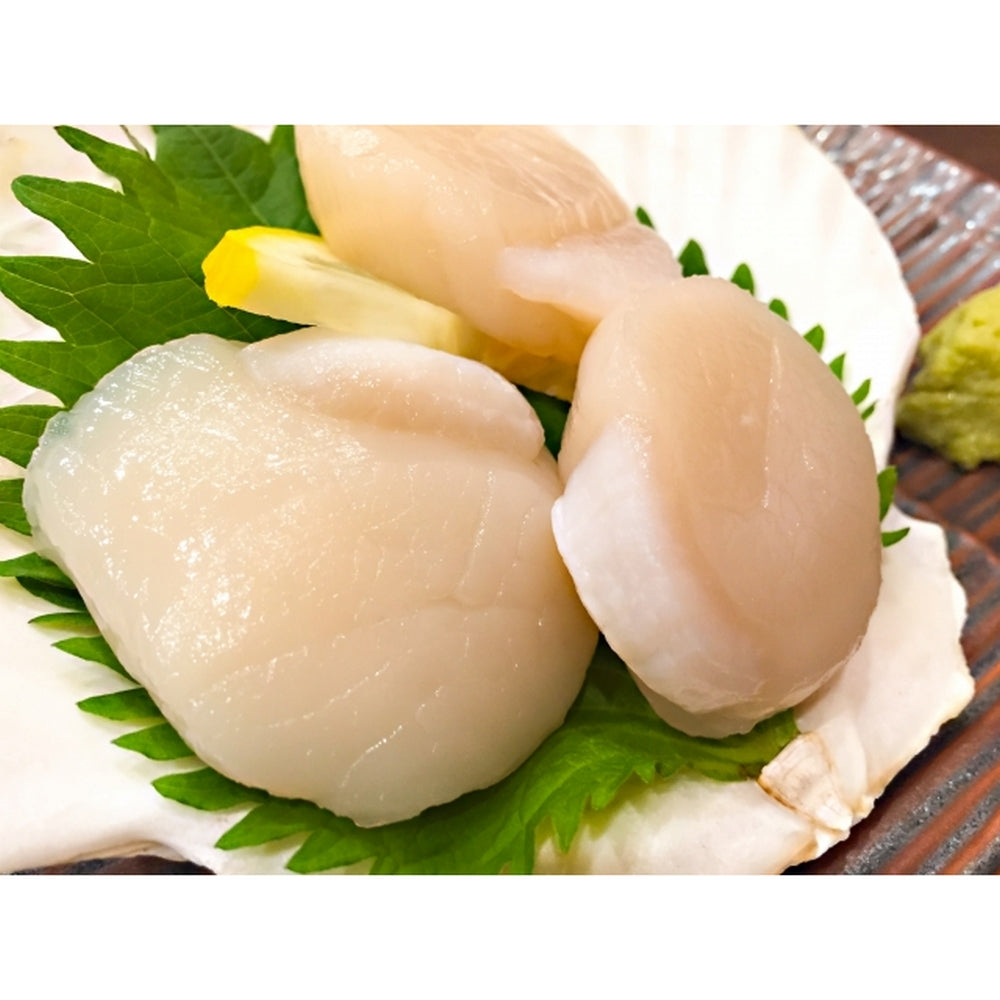Hokkaido Scallop Meat 1kg (Sashimi Grade)