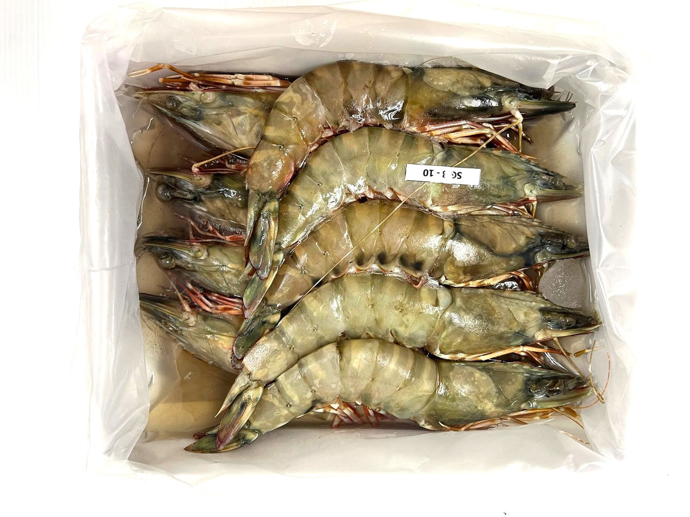 特大号！黑虎虾 HOSO 6/8（活冻）1kg