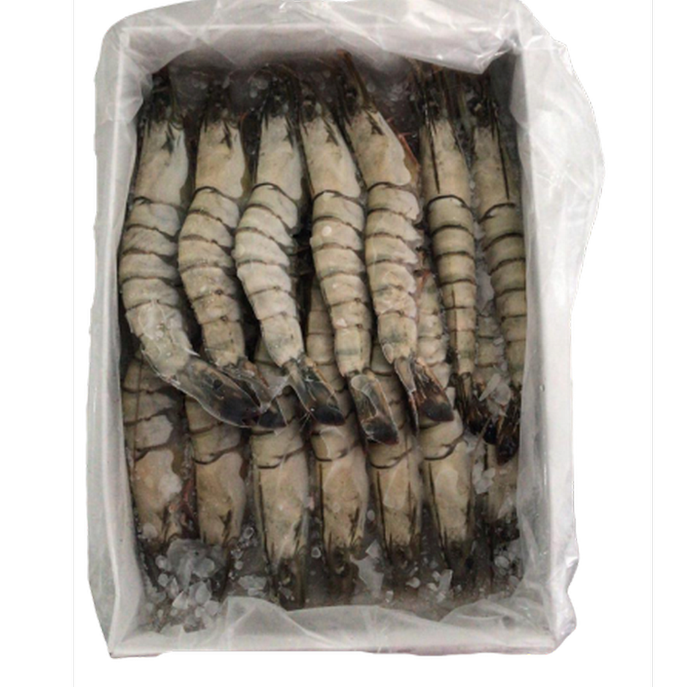 黑虎虾 HOSO 21/25（活冻）1kg