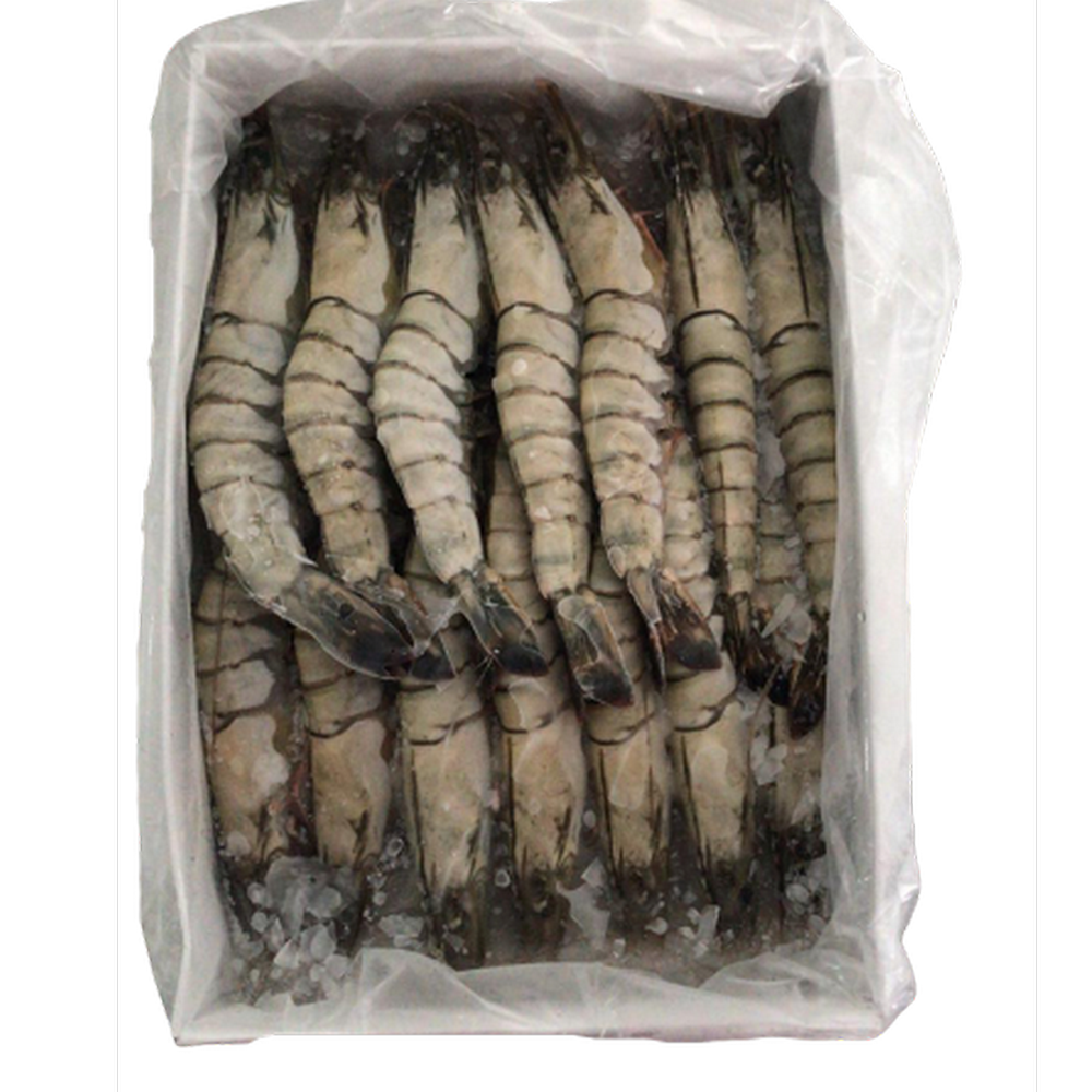 Black Tiger Prawn HOSO 21/25 (Live Frozen) 1kg